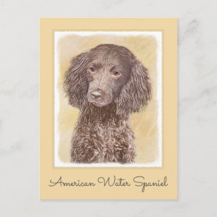 Amerikaanse waterspaniel schilderen - Oorspronkeli Briefkaart