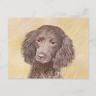 Amerikaanse waterspaniel schilderen - Oorspronkeli Briefkaart