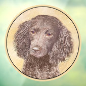 Amerikaanse waterspaniel schilderen - Oorspronkeli Raamsticker (Vel 3)