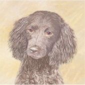 Amerikaanse waterspaniel schilderen - Oorspronkeli Sticker (Voorkant)