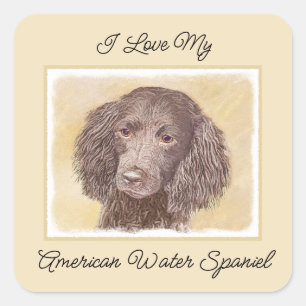 Amerikaanse waterspaniel schilderen - Oorspronkeli Vierkante Sticker