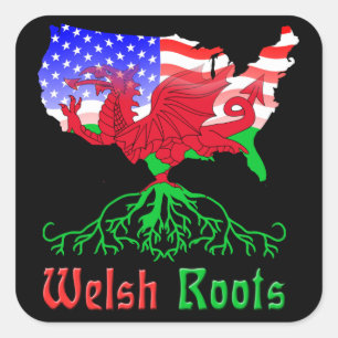 Amerikaanse Welsh Roots Stickers