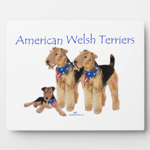 Amerikaanse Welsh Terriers Fotoplaat