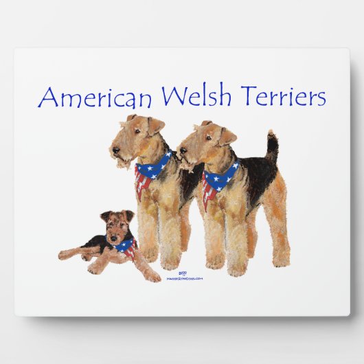 Amerikaanse Welsh Terriers Fotoplaat (Voorkant)