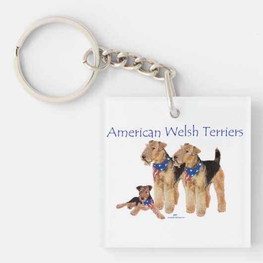 Amerikaanse Welsh Terriers Sleutelhanger (Voorkant)