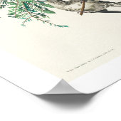 Amerikaanse wetsvoorstel van Audubon Poster (Hoek)