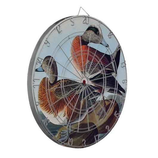 Amerikaanse Widgeon-eenden op een rots Dartbord (Voorkant Links)