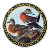 Amerikaanse Widgeon-eenden op een rots Keramische Knop (Voorkant)