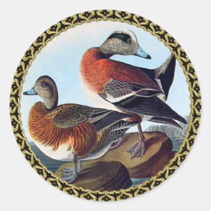 Amerikaanse Widgeon-eenden op een rots Ronde Sticker