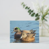 Amerikaanse Widgeon Pair (Drake en Hen) Feestdagenkaart (Staand voorkant)