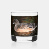 Amerikaanse Wigeon Duck Hen op Pond Whisky Glas (Voorkant)