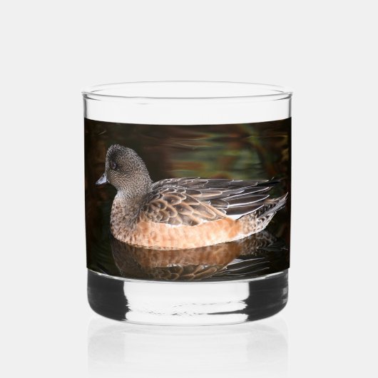 Amerikaanse Wigeon Duck Hen op Pond Whisky Glas (Voorkant)