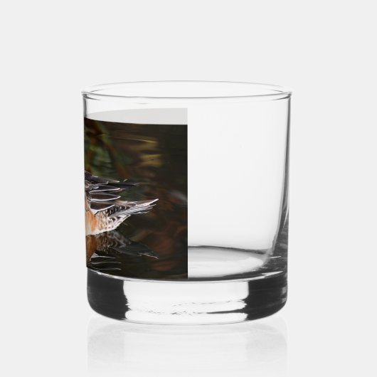 Amerikaanse Wigeon Duck Hen op Pond Whisky Glas (Links)