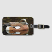 Amerikaanse Wigeon Duck op vijver Bagagelabel (Voorkant (horizontaal))
