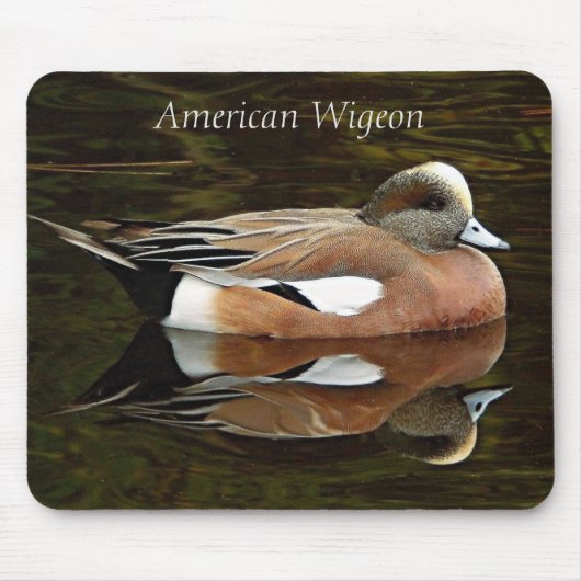 Amerikaanse Wigeon Duck op vijver Muismat (Voorkant)