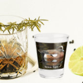 Amerikaanse Wigeon Duck op vijver Shot Glas