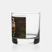 Amerikaanse Wigeon Duck op vijver Whisky Glas (Links)