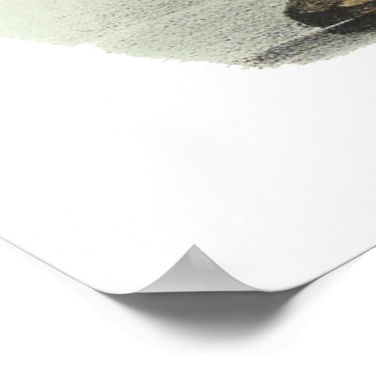 Amerikaanse Wigeon, John Audubon Poster (Hoek)