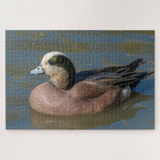 Amerikaanse Wigeon Legpuzzel (Horizontaal)