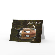 Amerikaanse Wigeon Natuurfoto Vaderdag