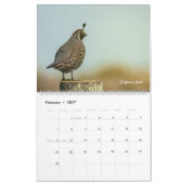 Amerikaanse Wilde Dieren Kalender (Feb 2027)