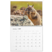 Amerikaanse Wilde Dieren Kalender (Jan 2027)