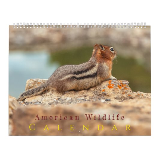 Amerikaanse Wilde Dieren Kalender (Hoes)