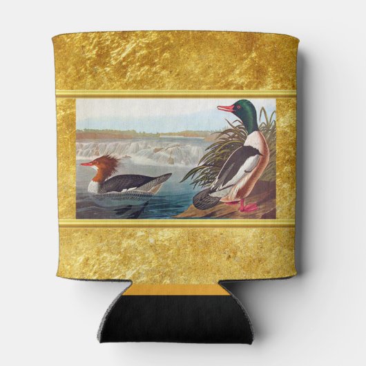 Amerikaanse wilde eenden in een rivier die zwemt blikjeskoeler (Achterkant)