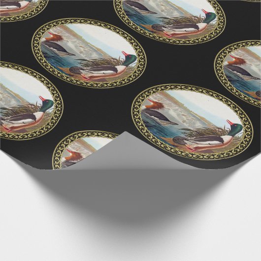 Amerikaanse wilde eenden in een rivier die zwemt cadeaupapier (Hoek)