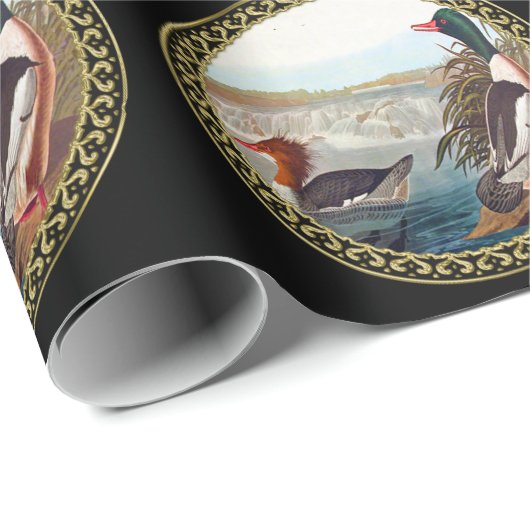 Amerikaanse wilde eenden in een rivier die zwemt cadeaupapier (Rol Hoek)