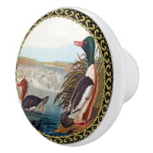 Amerikaanse wilde eenden in een rivier die zwemt keramische knop (Rechts)