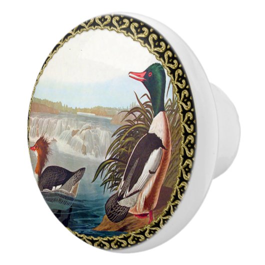 Amerikaanse wilde eenden in een rivier die zwemt keramische knop (Rechts)