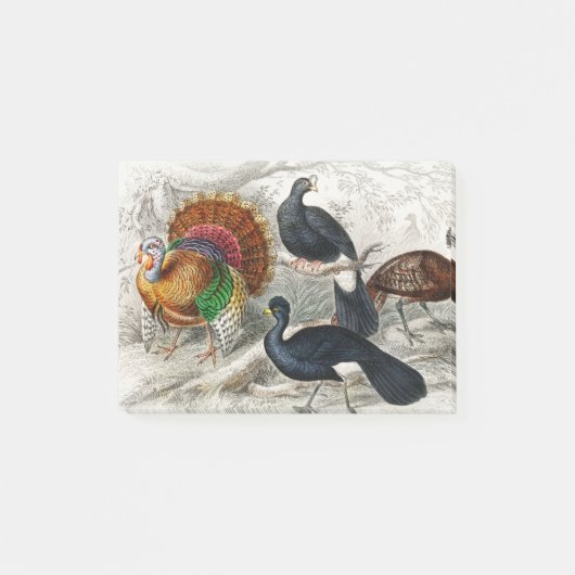 Amerikaanse wilde kalkoen, Kuifcurassow Post-it® Notes (Voorkant)