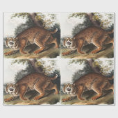 Amerikaanse wilde kat (Lynx rufus) Illustratie Cadeaupapier (Vlak)