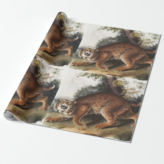 Amerikaanse wilde kat (Lynx rufus) Illustratie Cadeaupapier (Uitgerold)