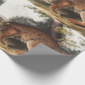 Amerikaanse wilde kat (Lynx rufus) Illustratie Cadeaupapier (Hoek)