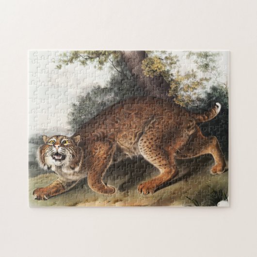Amerikaanse wilde kat (Lynx rufus) Illustratie Legpuzzel (Horizontaal)