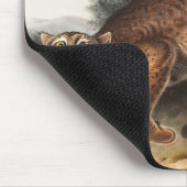 Amerikaanse wilde kat (Lynx rufus) Illustratie Muismat (Hoek)