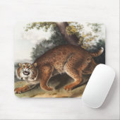 Amerikaanse wilde kat (Lynx rufus) Illustratie Muismat (Met muis)