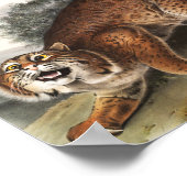 Amerikaanse wilde kat (Lynx rufus) Illustratie Poster (Hoek)