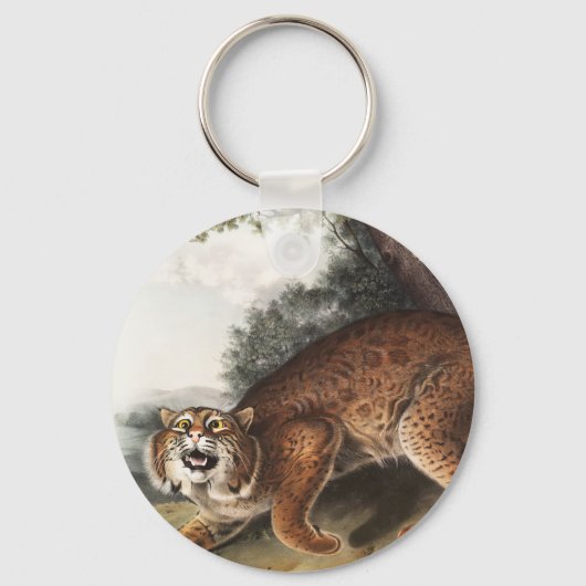 Amerikaanse wilde kat (Lynx rufus) Illustratie Sleutelhanger (Voorkant)