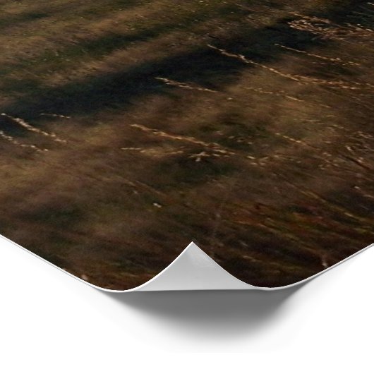 Amerikaanse windmolen poster (Hoek)