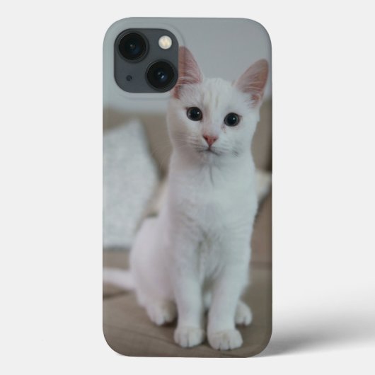 Amerikaanse witte korthaar kat Case-Mate iPhone case (Achterkant)