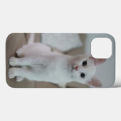 Amerikaanse witte korthaar kat Case-Mate iPhone case (Achterkant (horizontaal))