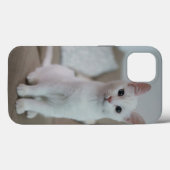 Amerikaanse witte korthaar kat Case-Mate iPhone case (Achterkant (horizontaal))