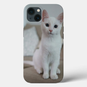 Amerikaanse witte korthaar kat Case-Mate iPhone case