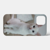 Amerikaanse witte korthaar kat Case-Mate iPhone case (Achterkant (horizontaal))