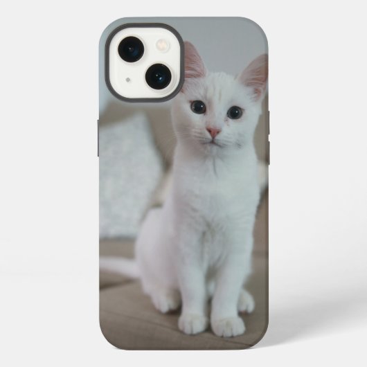 Amerikaanse witte korthaar kat iPhone hoesje (Achterkant)