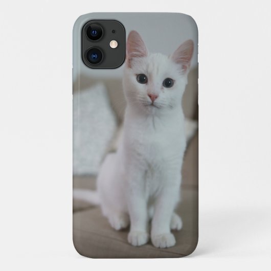 Amerikaanse witte kortharige kat Case-Mate iPhone case (Achterkant)