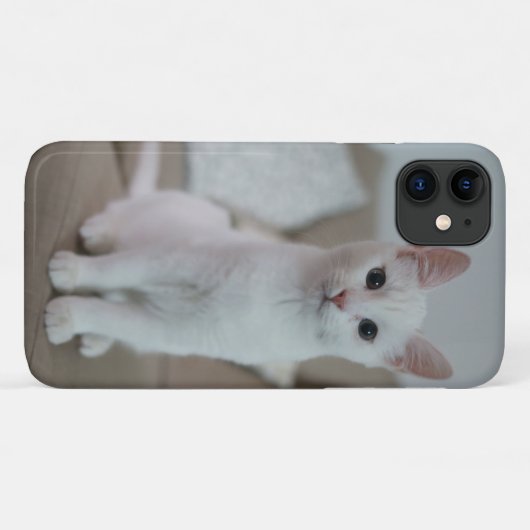 Amerikaanse witte kortharige kat Case-Mate iPhone case (Achterkant (horizontaal))